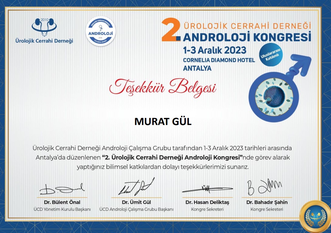 Murat Gül